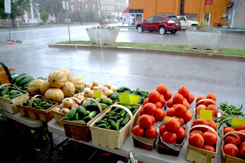 Navarra's vegetables