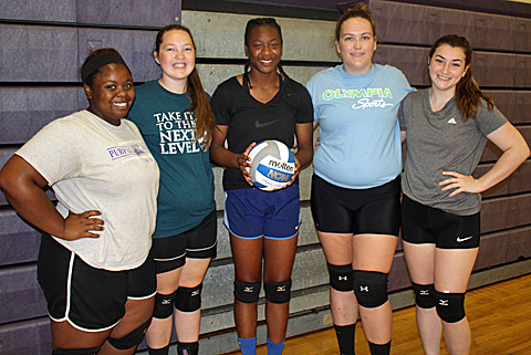 081616_MW_Albion volleyball