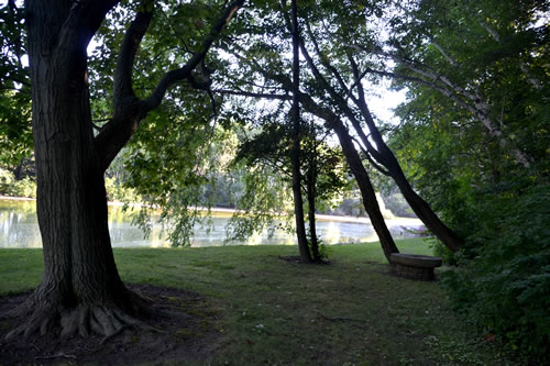 The pond at Robin Hill