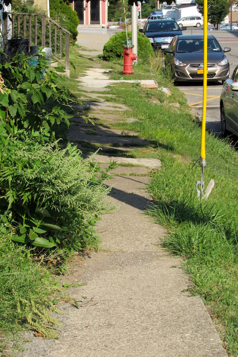 Photo by Kristina Gabalski: Village Board members have been discussing their concerns over the condition of sidewalks in Holley for some time. This photo shows sidewalks on Geddes Street. 