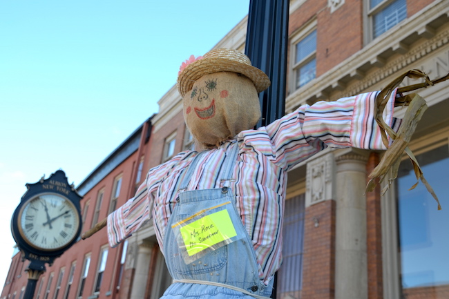 101016_scarecrowmrsrosa