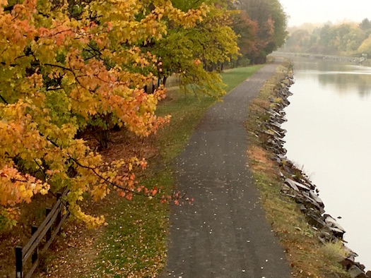 103016_falltowpath