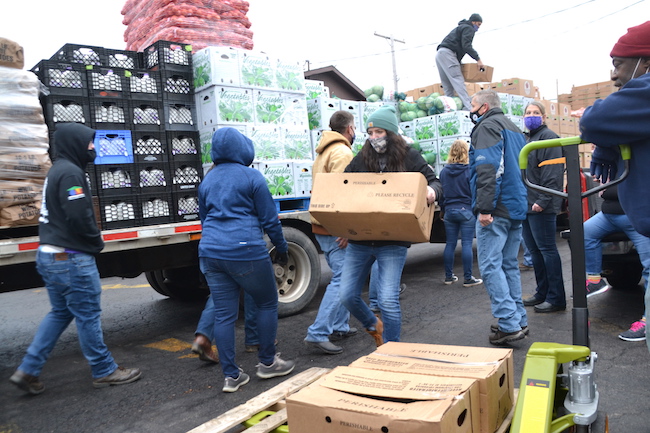 Albion FFA food drive sets new record with 53,000 pounds | Orleans Hub