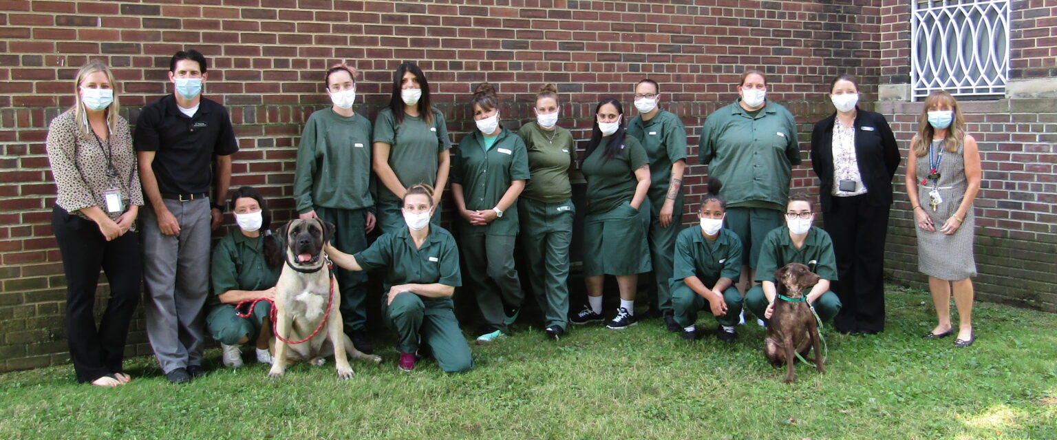 Albion Correctional Facility training dogs to prepare them for adopted homes Orleans Hub