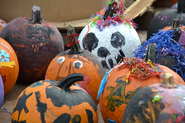 Buffalo Bills starred as main theme in Kendall Scarecrow Fest