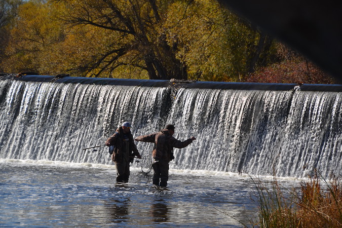 Fishermen venture by Lyndonville dam in search of salmon | Orleans Hub