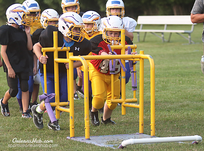 Albion teams prep for youth football season Orleans Hub