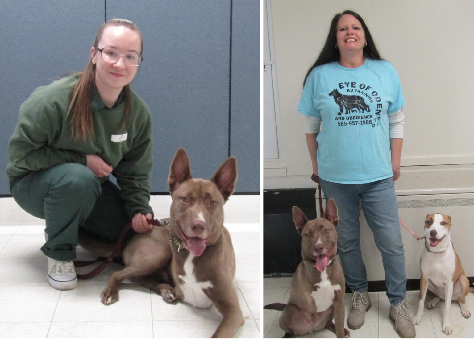 2 dogs complete obedience training at Albion Correctional | Orleans Hub