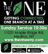 2196-19 The Vine