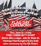 ALBION ELKS