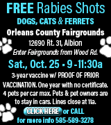 OH-00491 OC Rabies